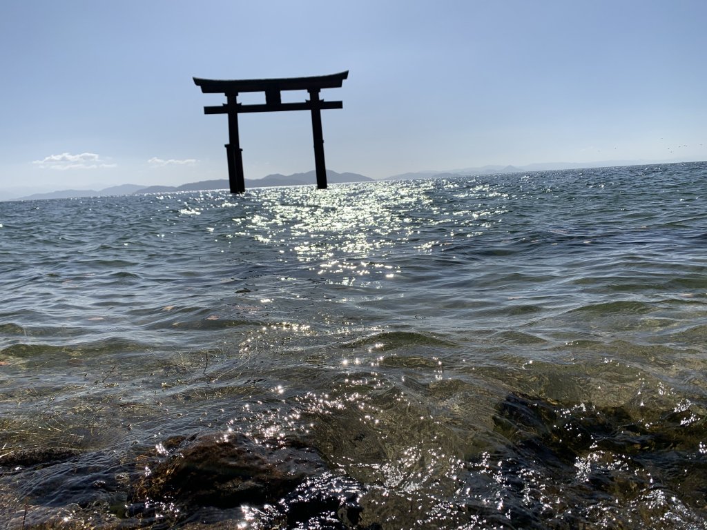 滋賀 必訪白鬚神社矗立於琵琶湖中的夢幻大鳥居 安安東京困住中